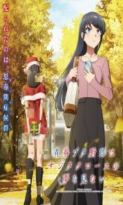 Seishun Buta Yarou Series 2 – Todos os Episódios